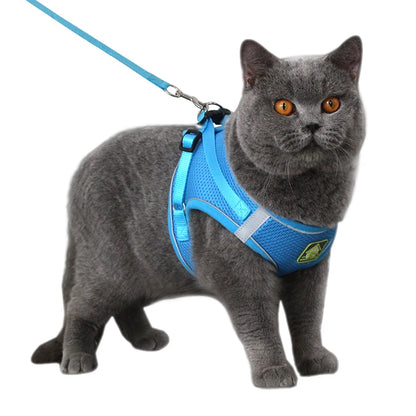 Chest collar for cat